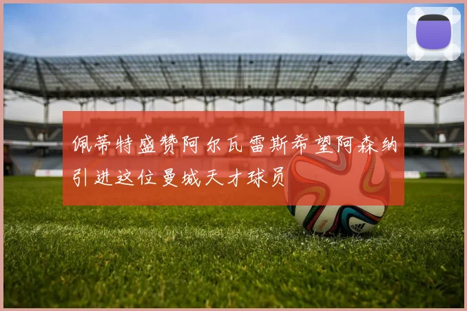 佩蒂特盛赞阿尔瓦雷斯希望阿森纳引进这位曼城天才球员