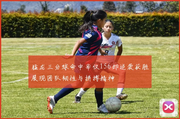 猛龙三分球命中率仅156却逆袭获胜展现团队韧性与拼搏精神