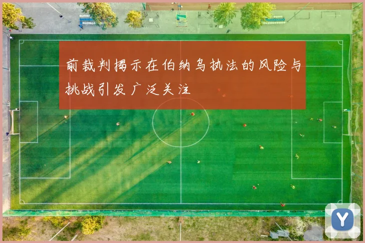 前裁判揭示在伯纳乌执法的风险与挑战引发广泛关注