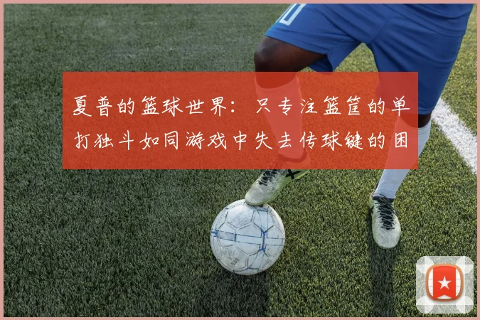 夏普的篮球世界：只专注篮筐的单打独斗如同游戏中失去传球键的困境