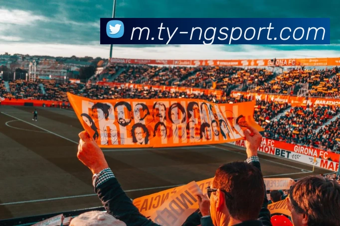 App Interface Preview